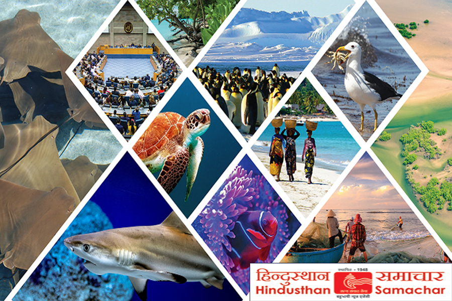 રાજસ્થાનના ટ્રાન્સપોર્ટરનો ટ્રક લઈને ઠગબાજ ચાલક રફુચક્કર રાજસ્થાનના ટ્રાન્સપોર્ટરનો ટ્રક લઈને ઠગબાજ ચાલક રફુચક્કર