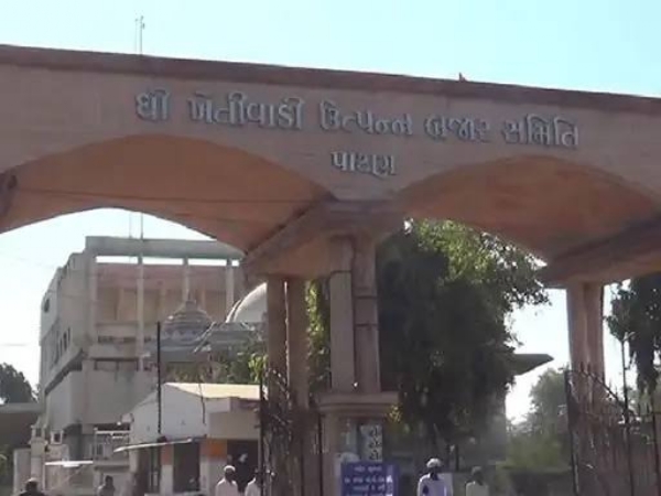 પાટણ APMC ખાતે નવા જીરાની આવકના શ્રીગણેશ